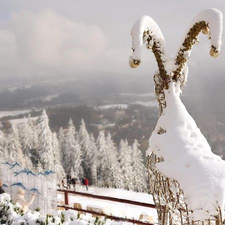Willa Wygrodzisko Zakopane Ngoại thất bức ảnh
