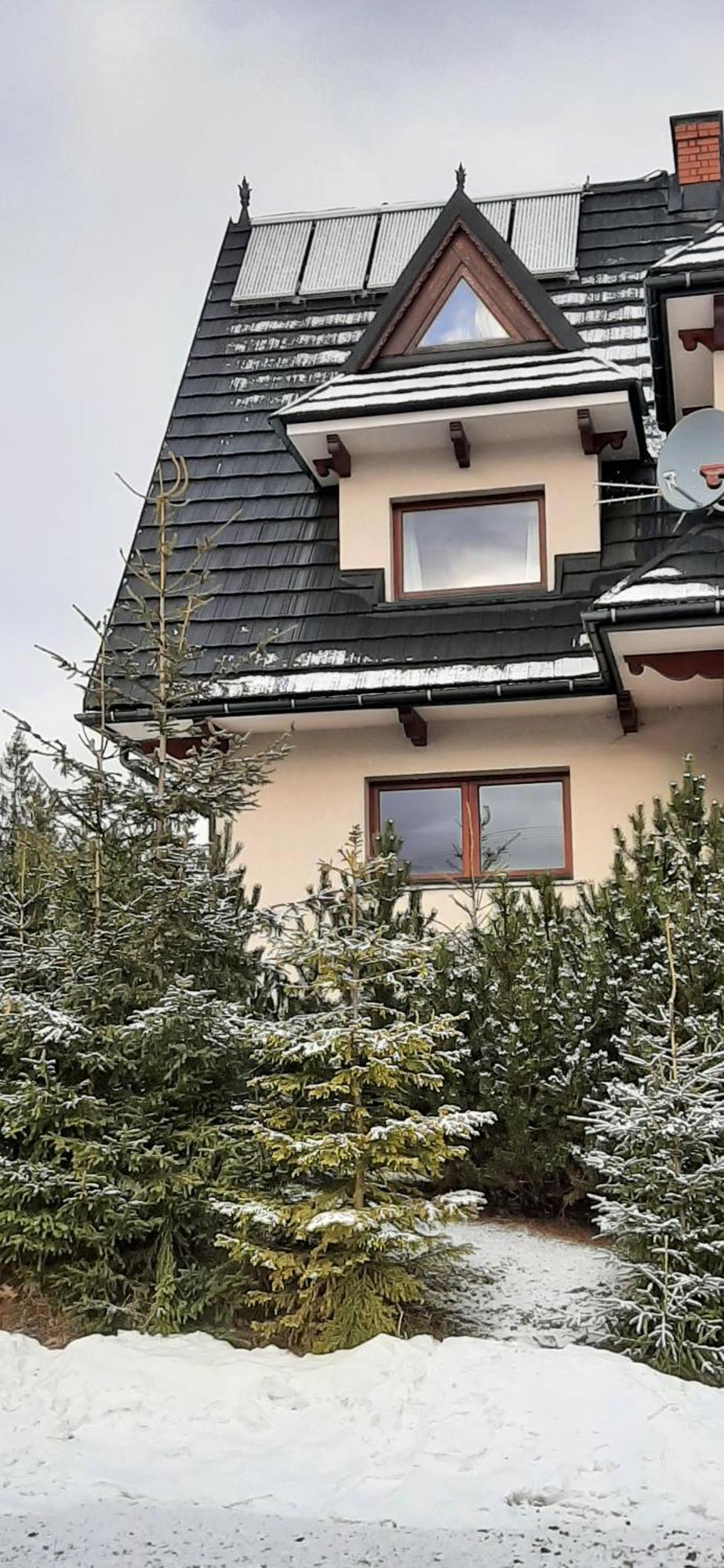 Willa Wygrodzisko Zakopane Ngoại thất bức ảnh