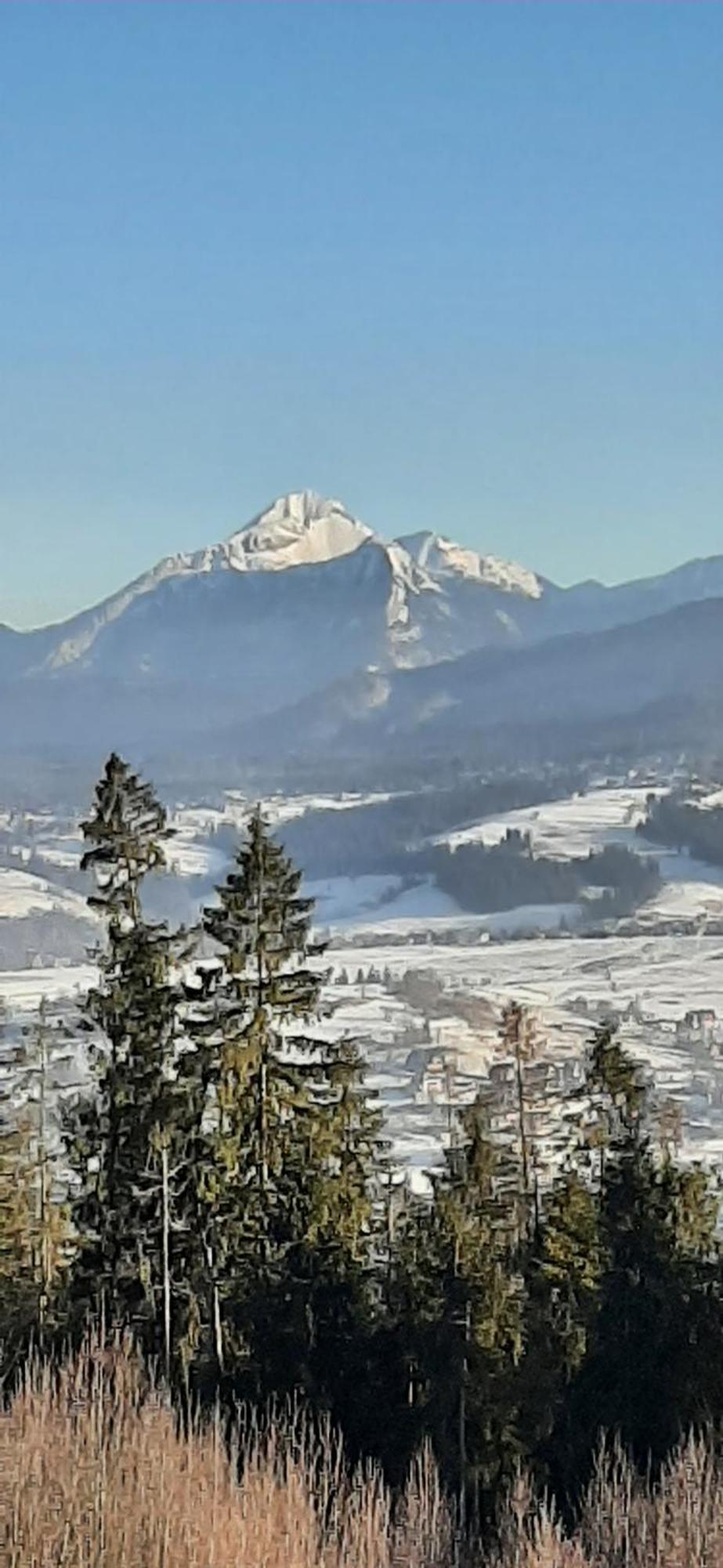 Willa Wygrodzisko Zakopane Ngoại thất bức ảnh